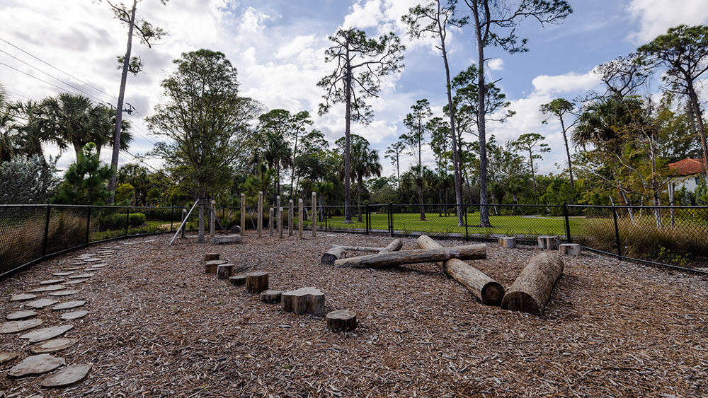 Covered Bridge Park - Image 6